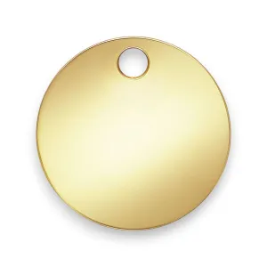 🔗 Round Disc with Hole (Polished) in 14ct Yellow Gold Filled