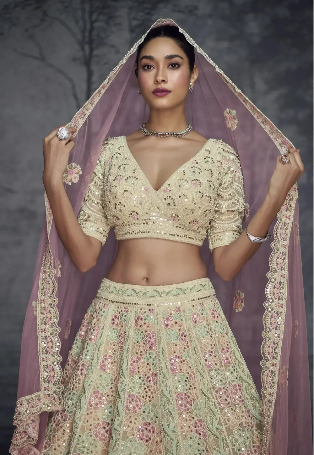 Beige Colour Luxurious Pure Net Handcrafted Lehenga