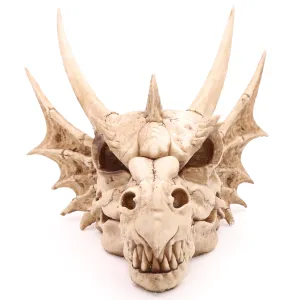 Dragon Skull Decoration (Large) - Fantasy Horned Dragon for Home Decor