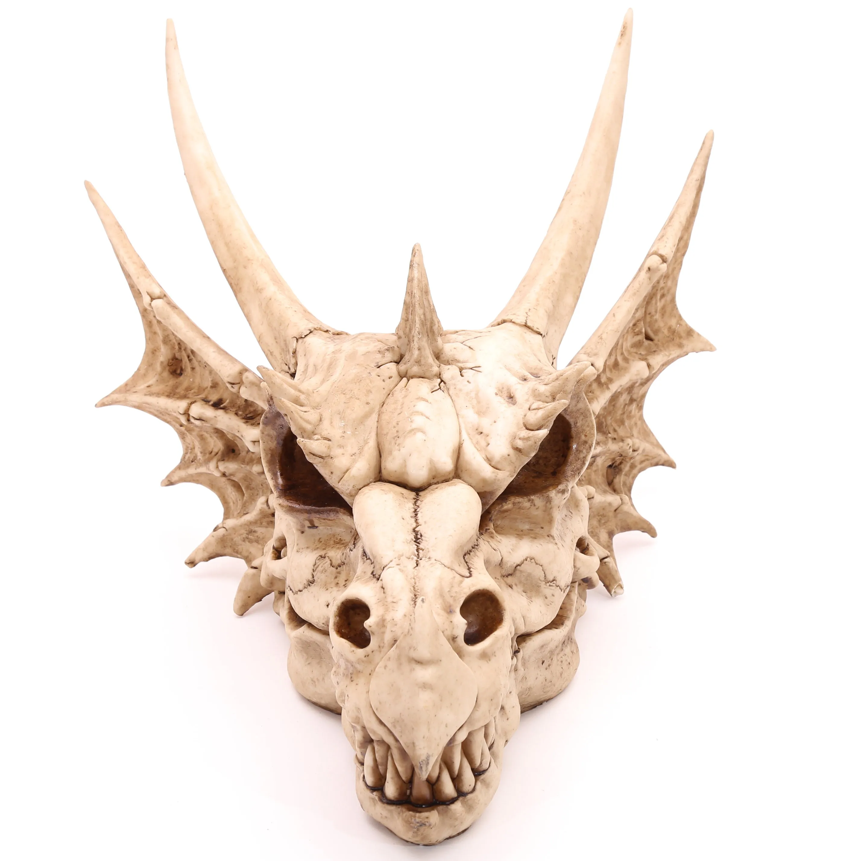 Dragon Skull Decoration (Large) - Fantasy Horned Dragon for Home Decor