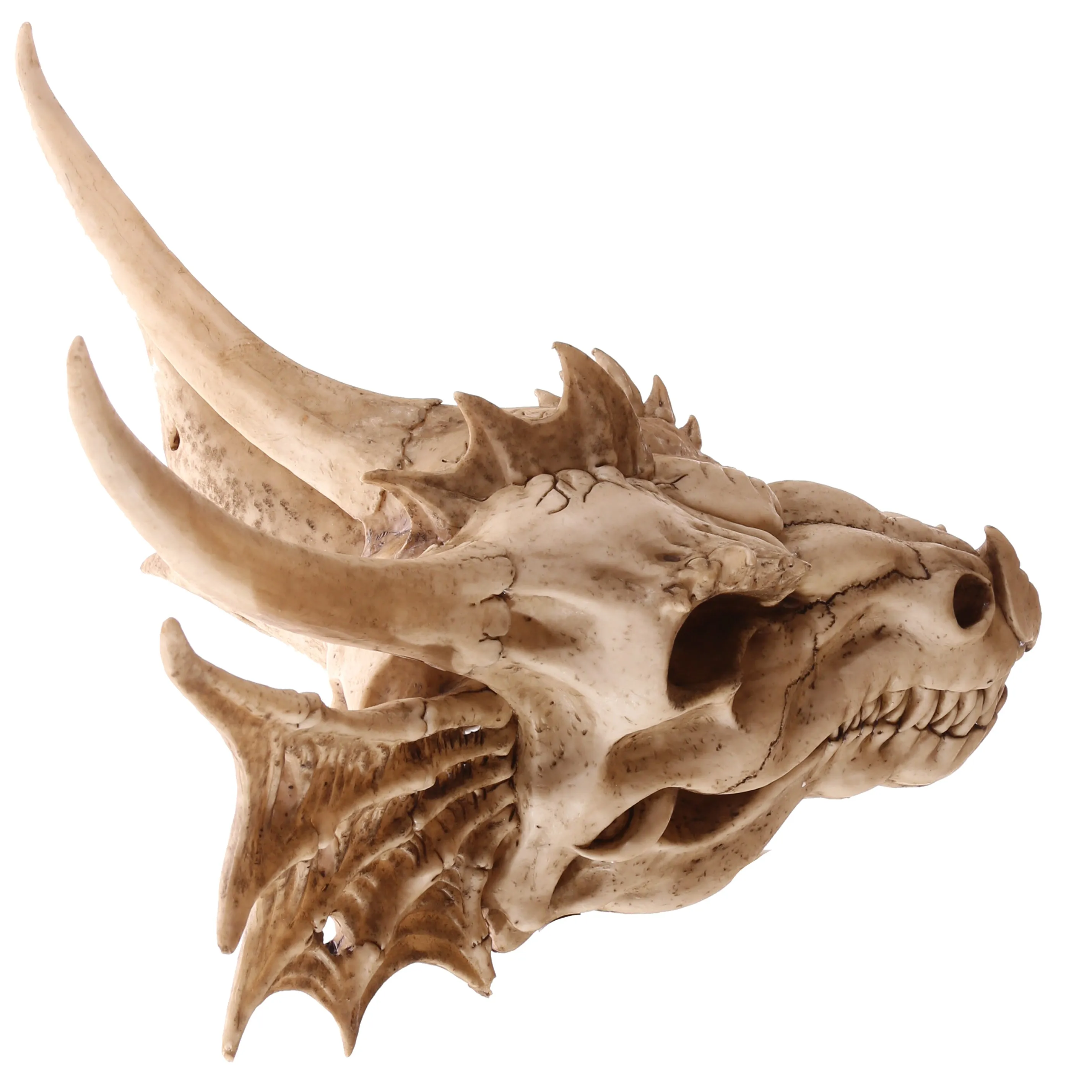 Dragon Skull Decoration (Large) - Fantasy Horned Dragon for Home Decor