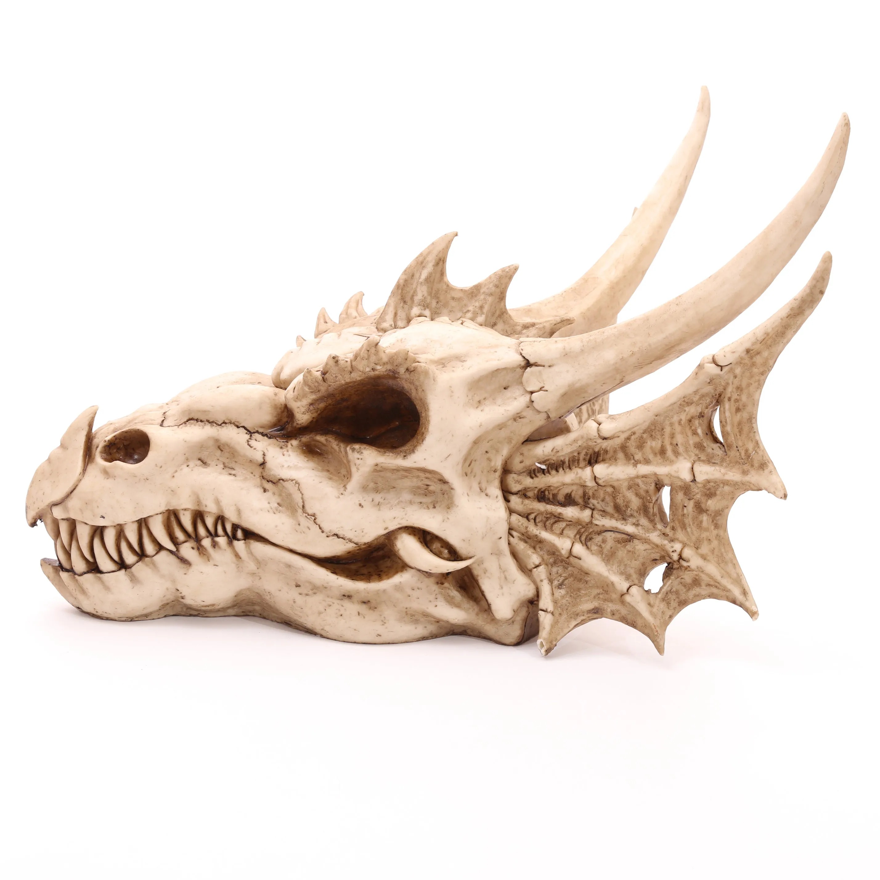 Dragon Skull Decoration (Large) - Fantasy Horned Dragon for Home Decor