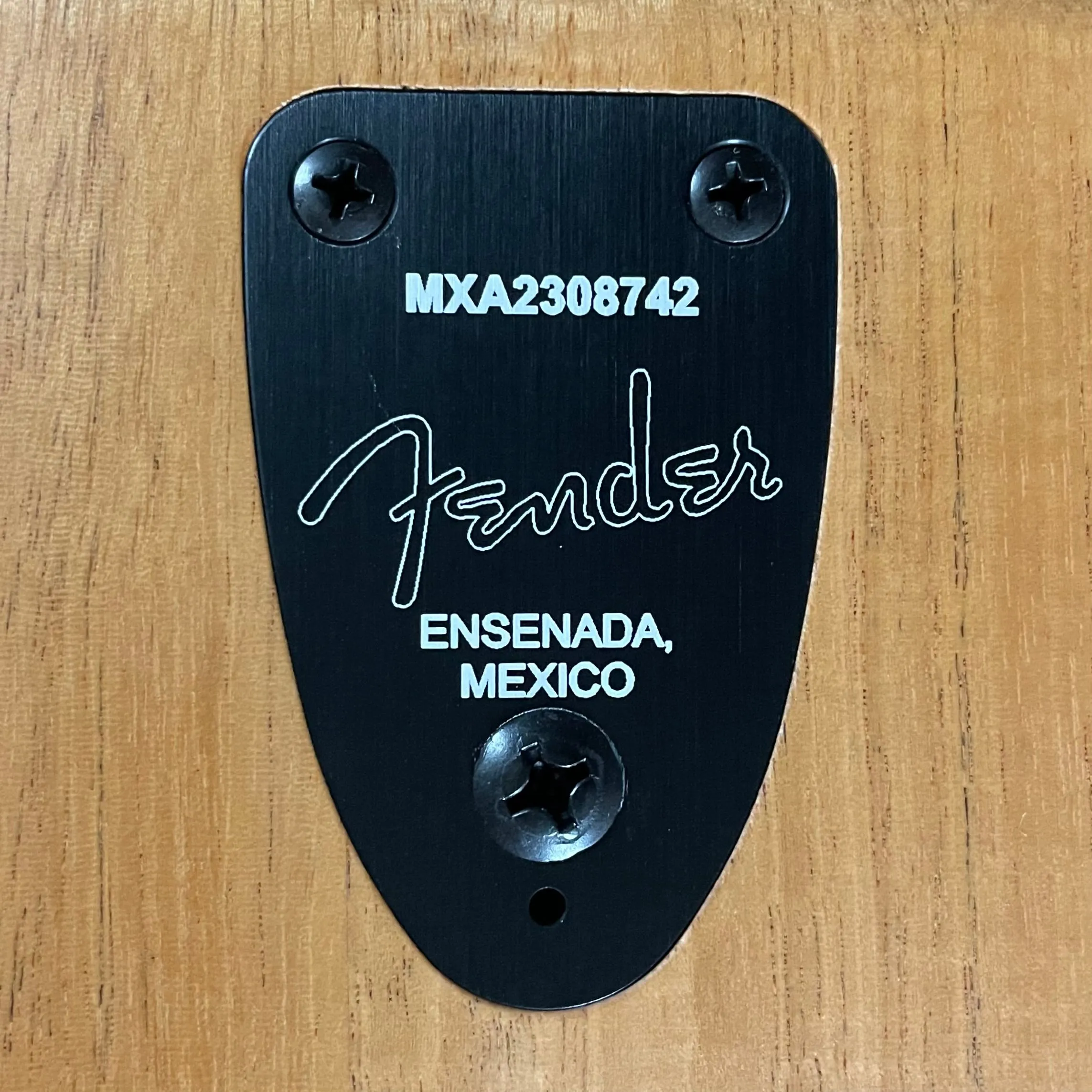 Fender Highway Series Dreadnought, Rosewood Fingerboard- All-Mahogany (MXA2308742)