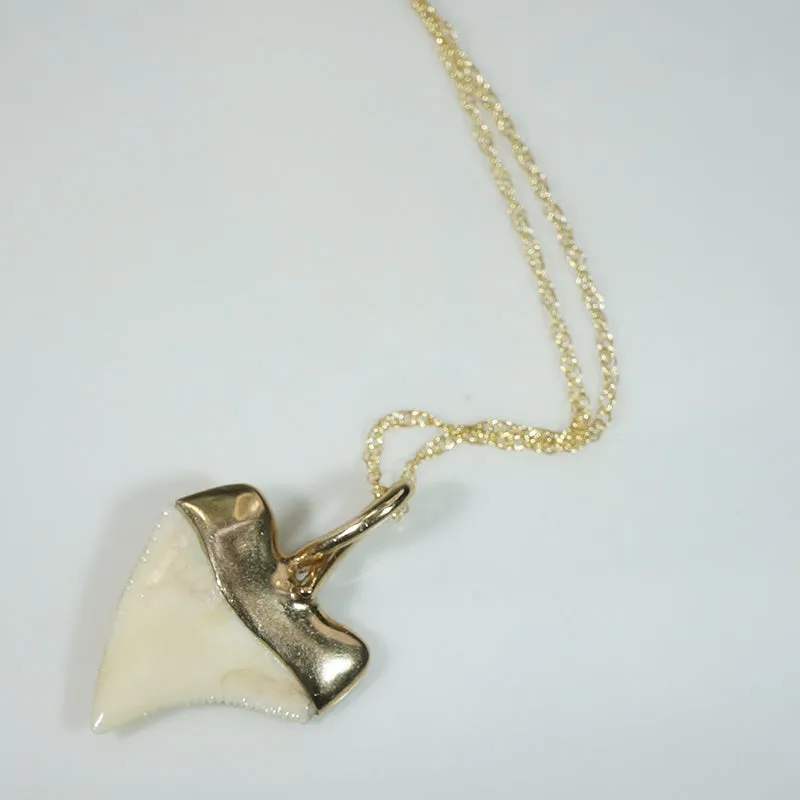 Fierce Shark Tooth Talisman in 14k Gold