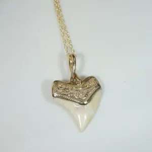 Fierce Shark Tooth Talisman in 14k Gold