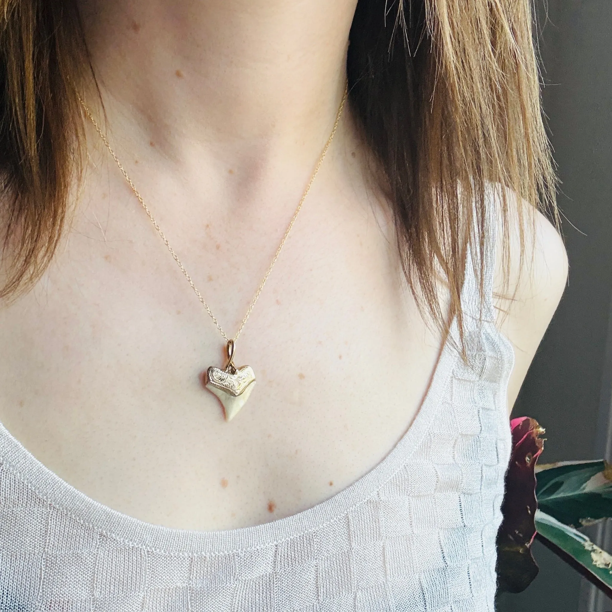 Fierce Shark Tooth Talisman in 14k Gold