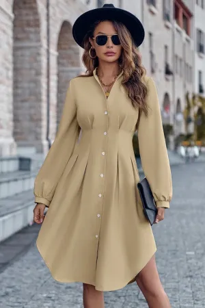 Fitted Waist Button Front Shirt Dress
