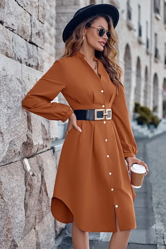 Fitted Waist Button Front Shirt Dress