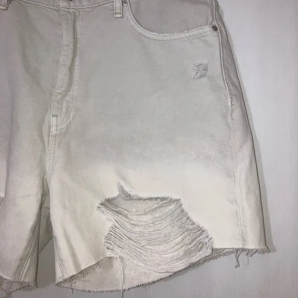 NWT Hudson Devon Highrise Distressed Boyfriend Shorts In  Peyote Dip Dye Size 31
