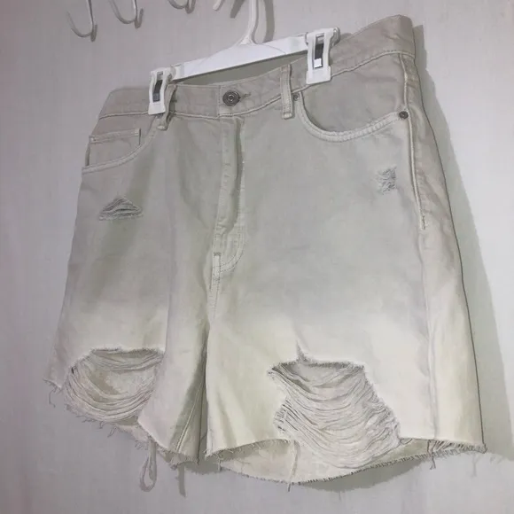 NWT Hudson Devon Highrise Distressed Boyfriend Shorts In  Peyote Dip Dye Size 31