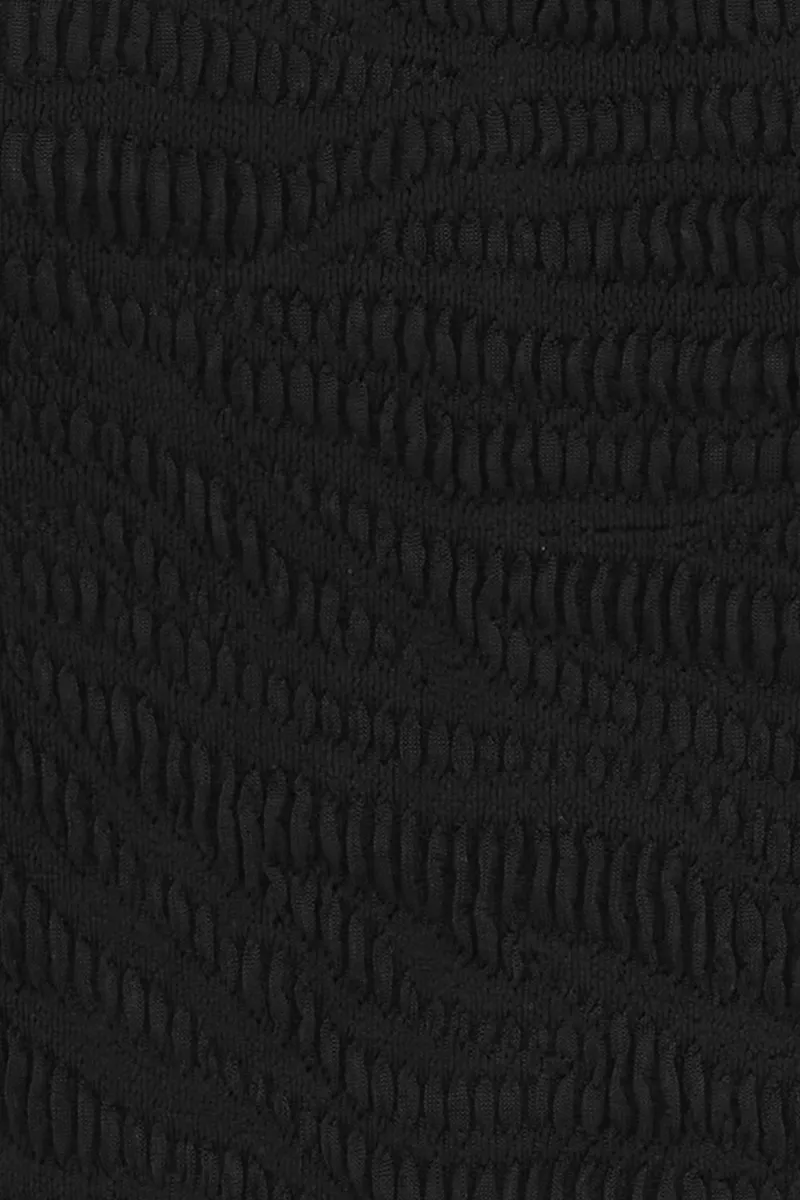 Palmer Brief