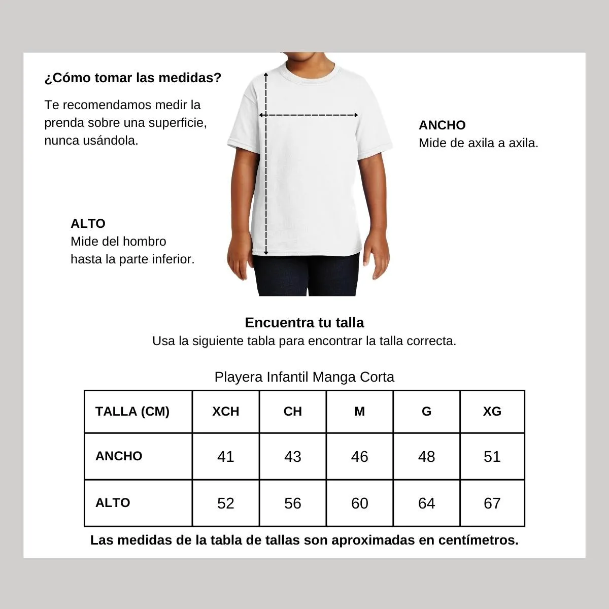 Playera Niño Niña Rock Alice in chains Alter bridge 846
