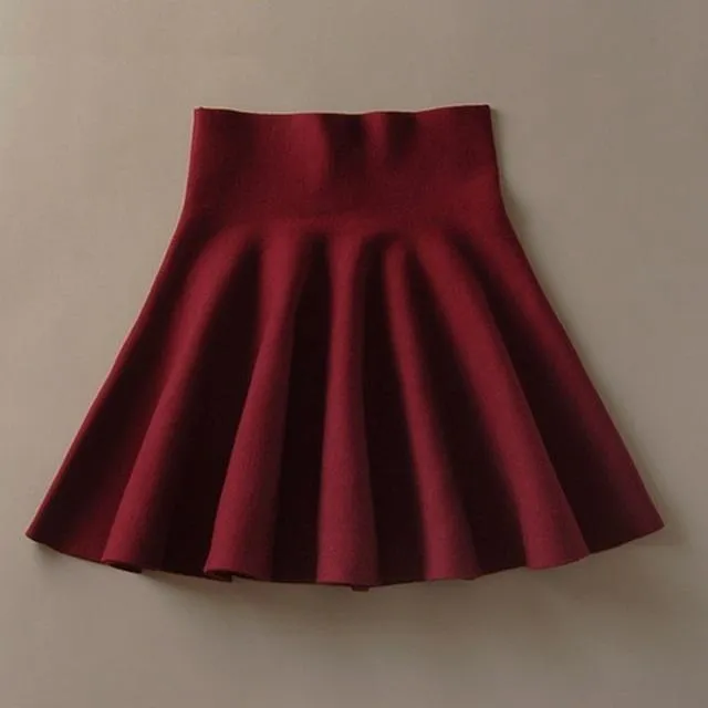Pleated High Waist Mini Skirt