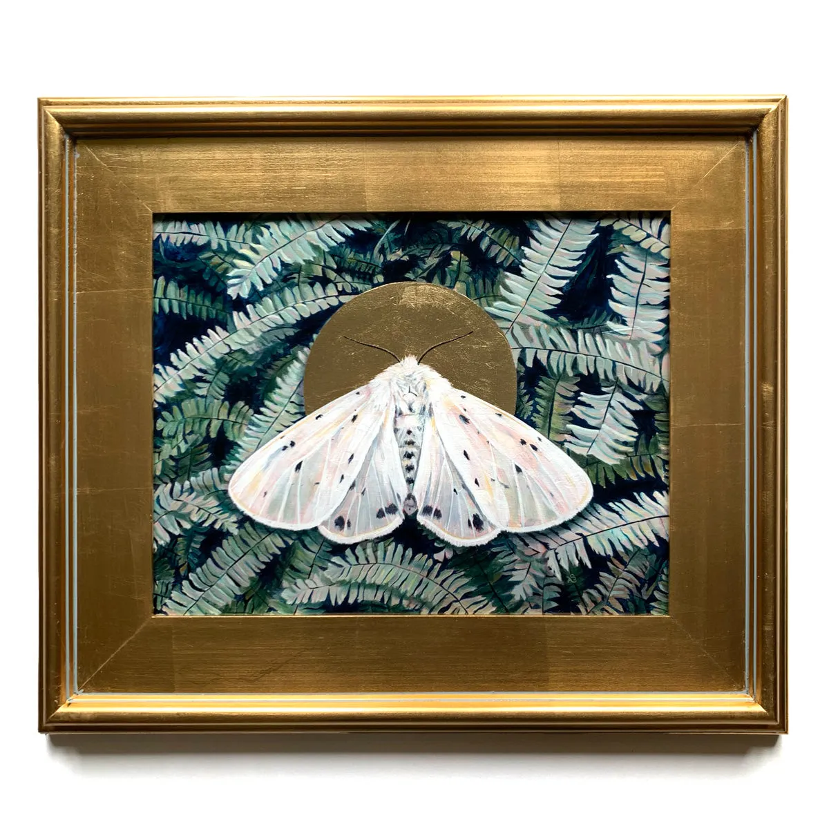"Drifting" Muslin Moth Painting 11x14