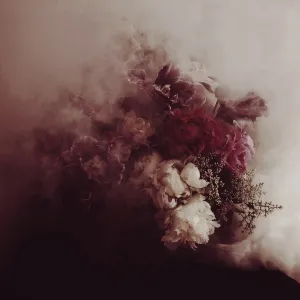 Revolution Dark Floral Print