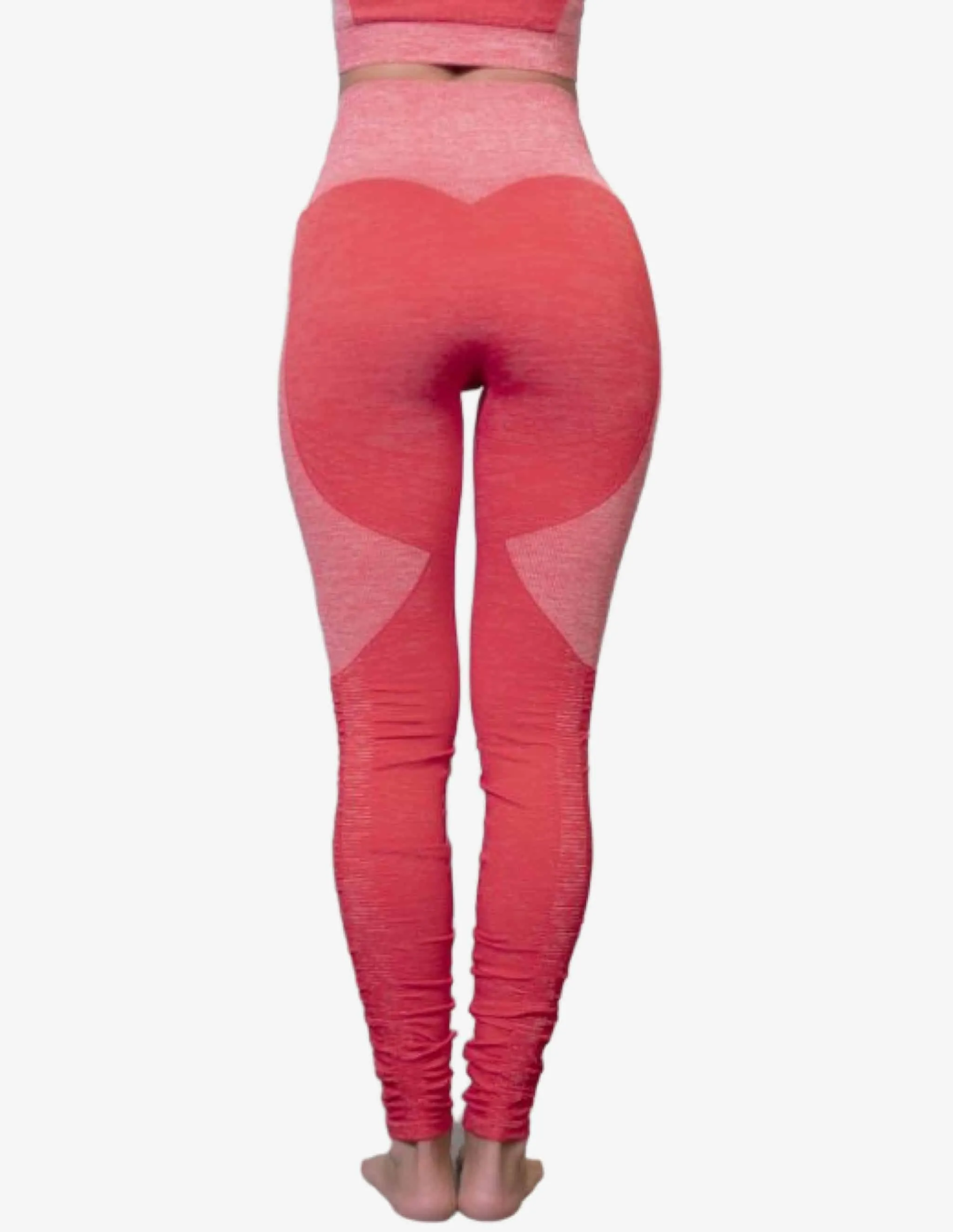 TELLUS Seamless Legging High Waist – RED
